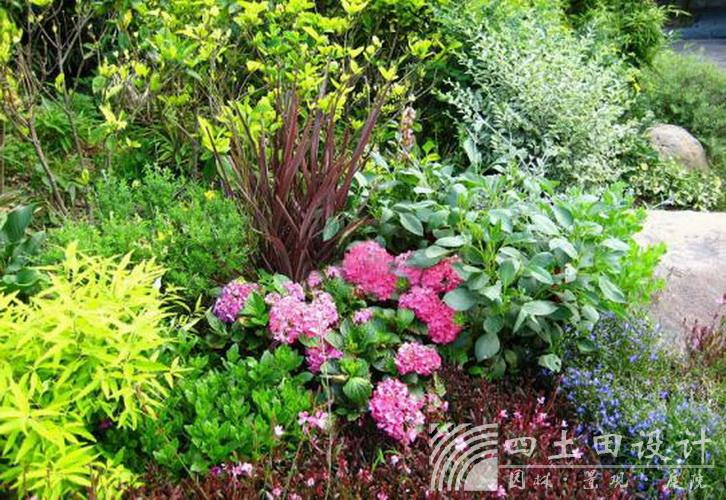 beat·365(中国)唯一官方网站